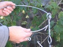 Fitting Rings to Vege Tower